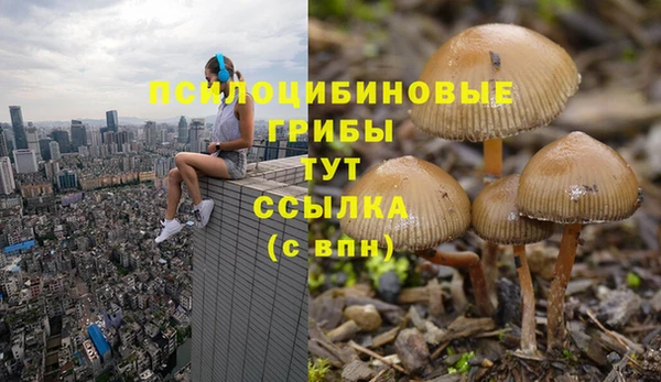 дмт Армянск