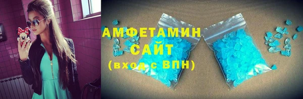 индика Алексин
