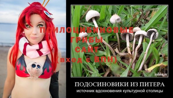 индика Алексин