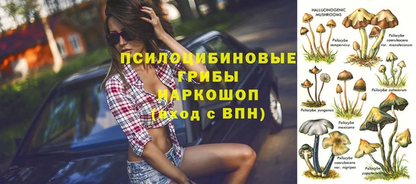 прущая мука Арсеньев