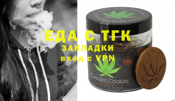 индика Алексин